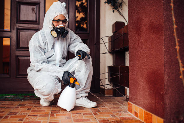 Reliable Wasp Removal contractor in Mystic Island, NJ by Show Me Pest Control