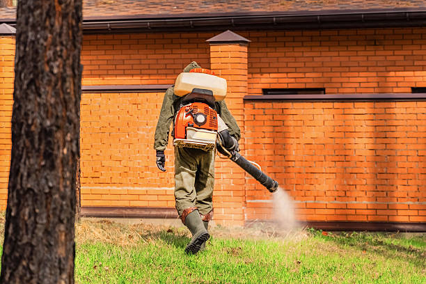 Top rated local Wasp Removal specialists in Mystic Island, NJ